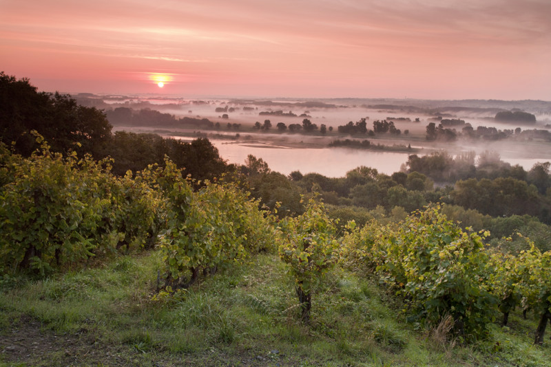 location bateau vin loire