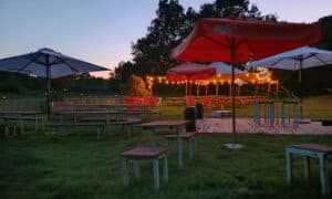 Guinguette du Port Albert Feneu